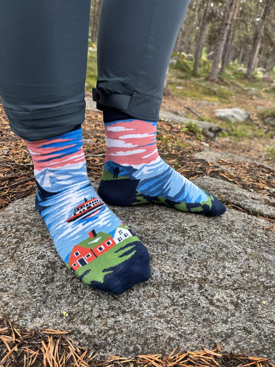 skarpetki z motywem norwegii